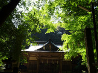 DSC09236