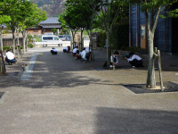 DSC09685