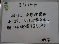 01 DSC02095●